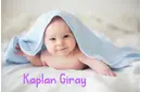 Kaplan Giray İsminin Anlamı Nedir? Kaplan Giray İsminin Anlamı Nedir?