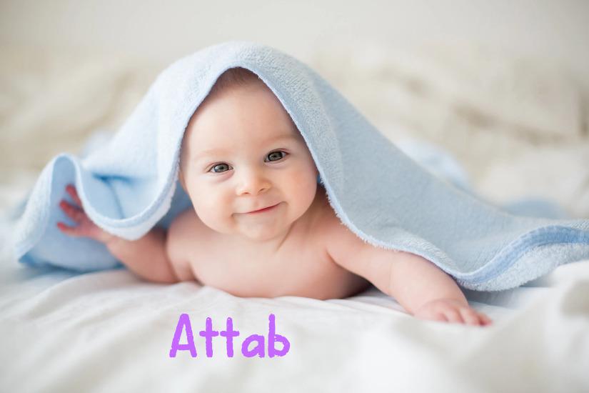 Attab İsminin Anlamı Nedir?