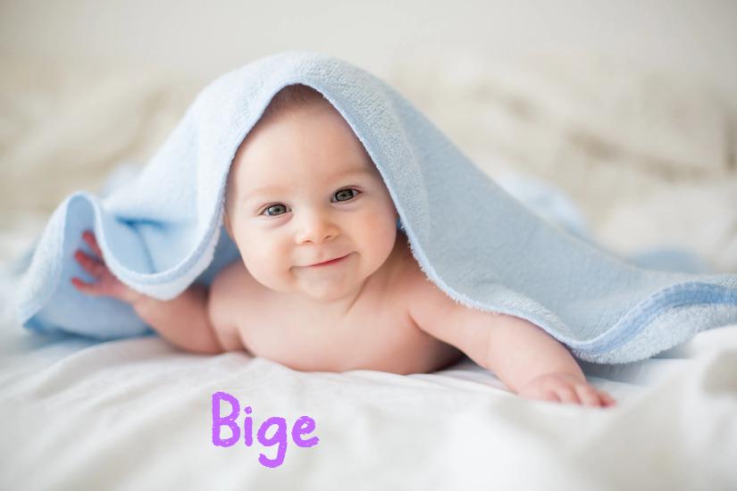 Bige İsminin Anlamı Nedir?