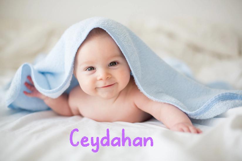 Ceydahan İsminin Anlamı Nedir?