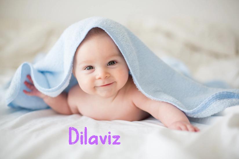 Dilaviz İsminin Anlamı Nedir?
