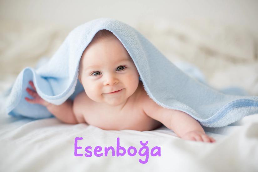 Esenboğa İsminin Anlamı Nedir?