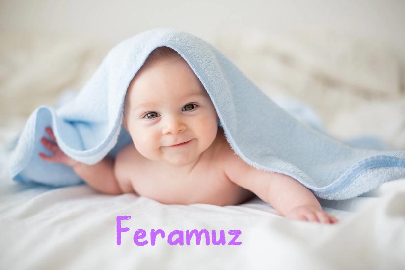 Feramuz İsminin Anlamı Nedir?