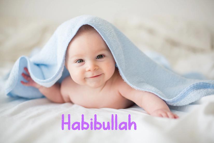 Habibullah İsminin Anlamı Nedir?