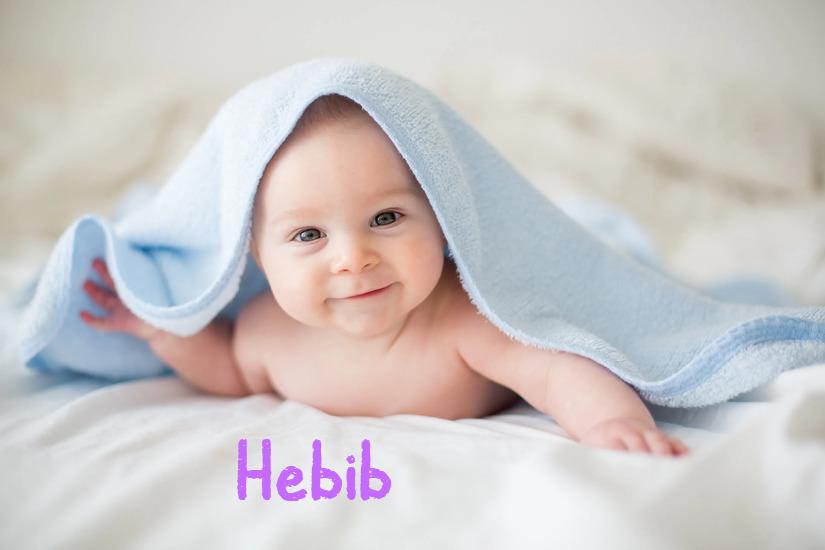 Hebib İsminin Anlamı Nedir?