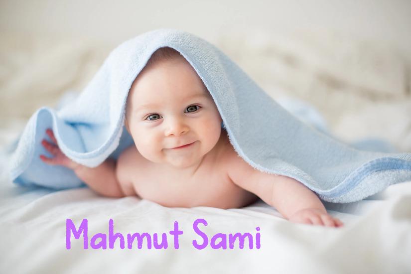 Mahmut Sami İsminin Anlamı Nedir?