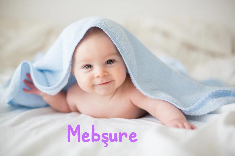 Mebşure İsminin Anlamı Nedir?