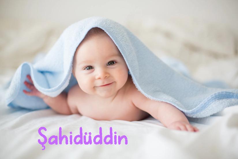 Şahidüddin İsminin Anlamı Nedir?