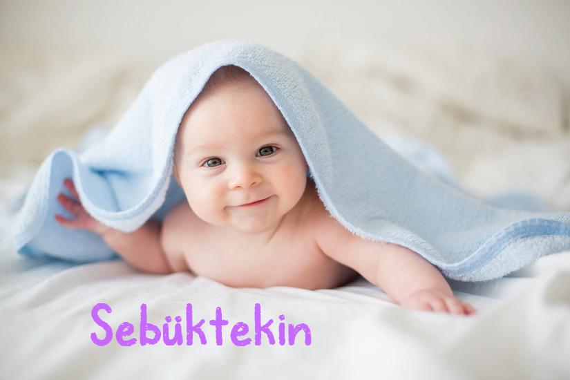 Sebüktekin İsminin Anlamı Nedir?