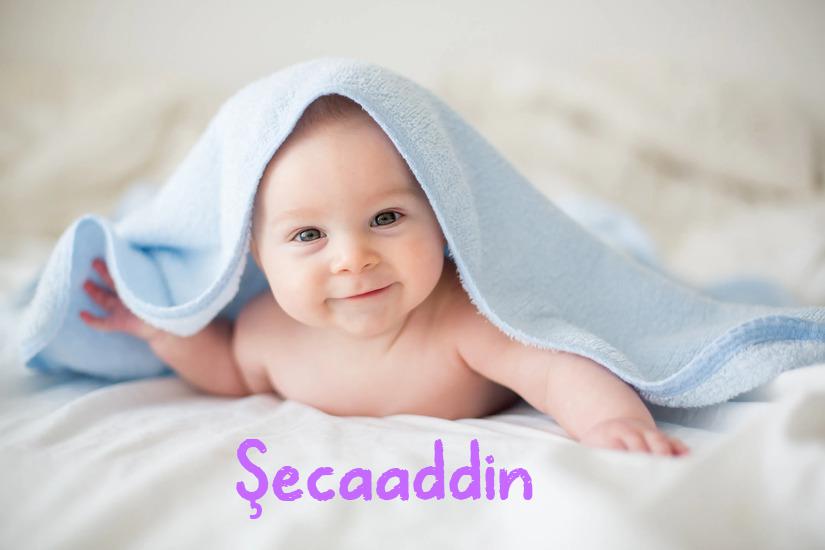 Şecaaddin İsminin Anlamı Nedir?