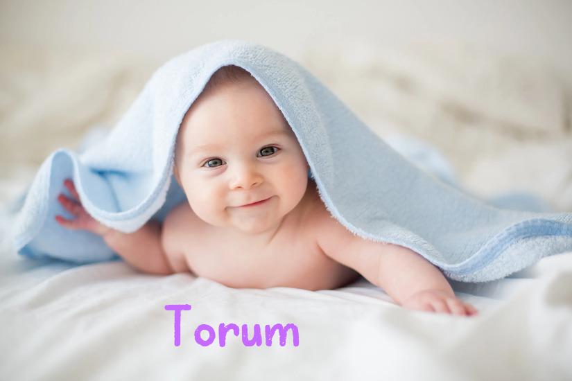 Torum İsminin Anlamı Nedir?