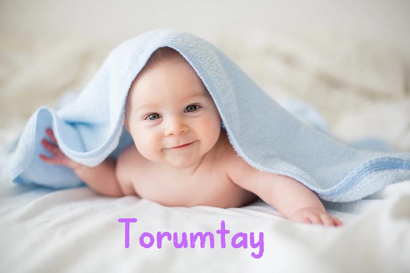 Torumtay İsminin Anlamı Nedir?