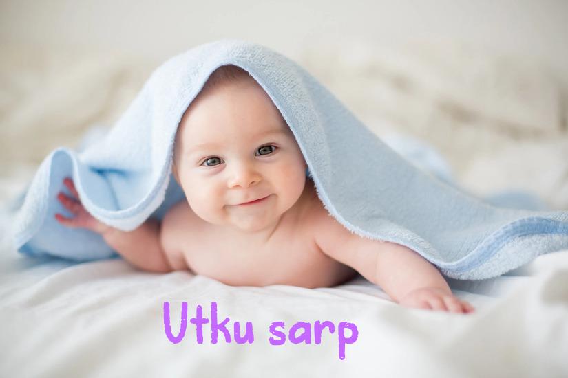 Utku sarp İsminin Anlamı Nedir?