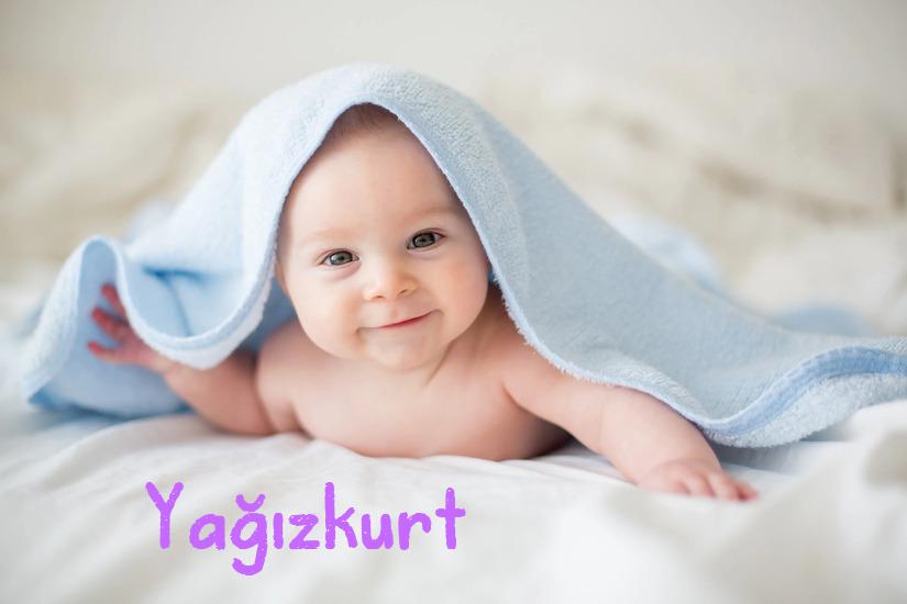 Yağızkurt İsminin Anlamı Nedir?